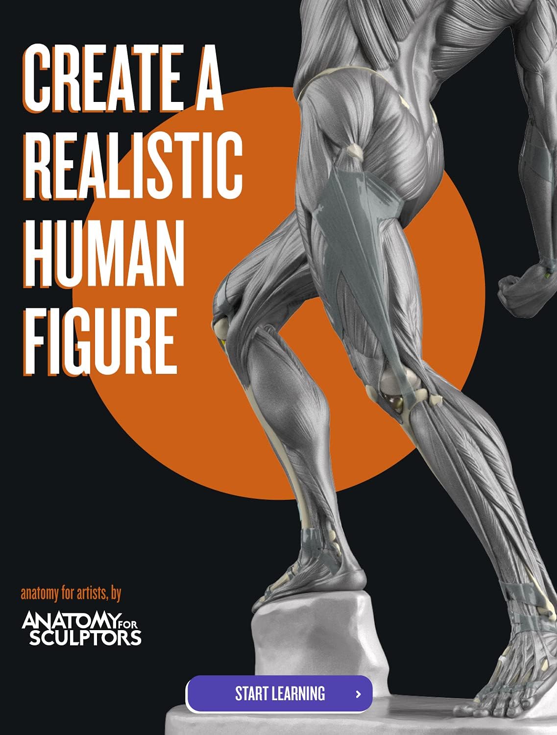 Anatomy For Sculptors, Understanding the Human Figure