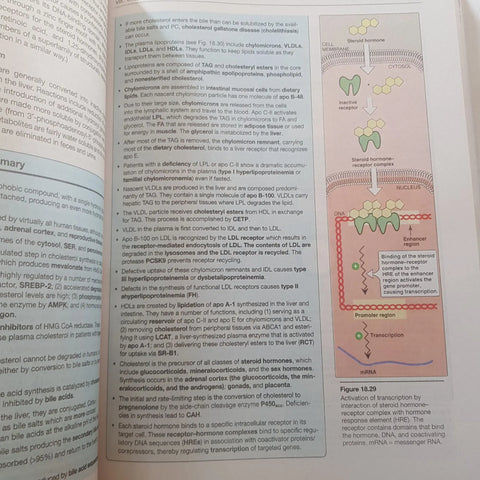 BIOCHEMISTRY 8TH EDITION BY EMINE ERCIKAN ABALI