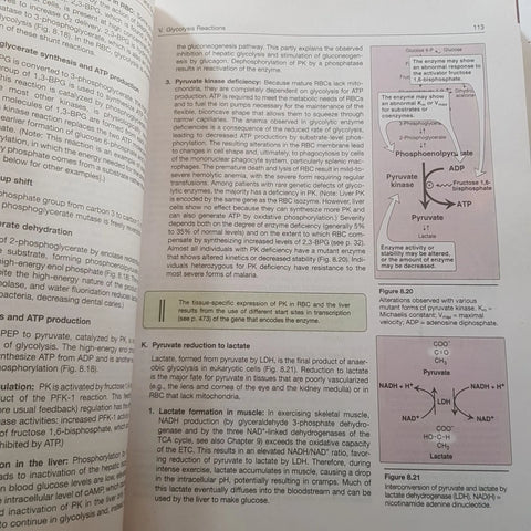 BIOCHEMISTRY 8TH EDITION BY EMINE ERCIKAN ABALI