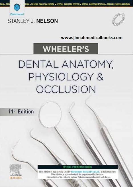 Dental Anatomy, Physiology And Occlusion